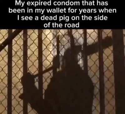 Little pig 💀 💀 💀