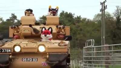 who said furry hater