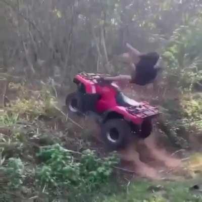 🙈🤦‍♀️🤦🤦‍♂️