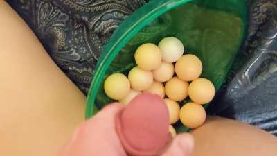 Your POV when you fertilize my freshly laid eggs