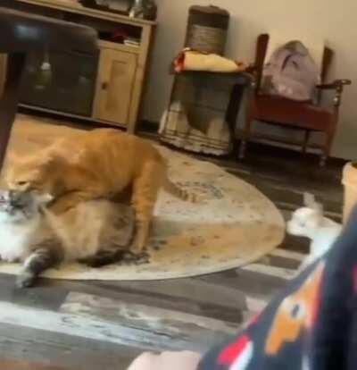 Not in front of the children, please!