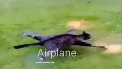 PATRU FINDS AMOGUS IMPOSTOR AT 3 AM FULL HD 144P DOWNLOAD ركيكذكيمدنسكدحدنسواسمدكسريعويمدنسىدةصةنذسكدكةسدهكسمدميمديكزحيمتذمسكزنذ