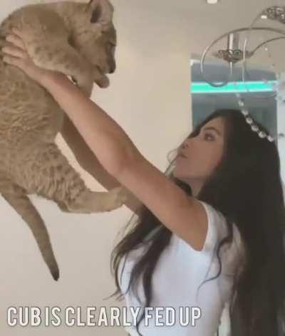 Sigma cub mindset 💪💪