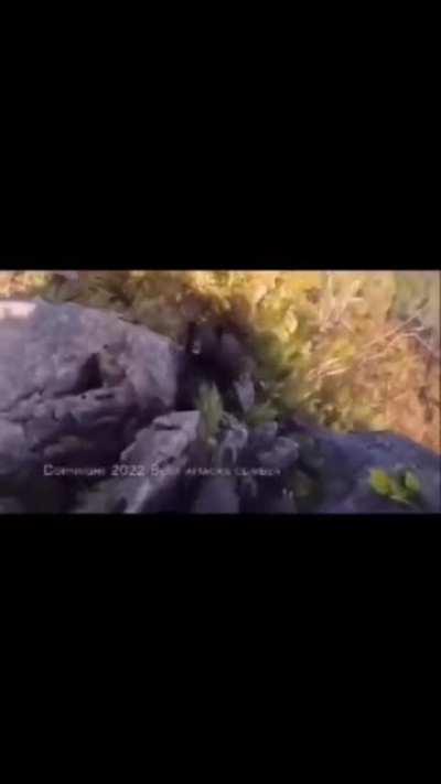 man fights off a bear in the wilderness