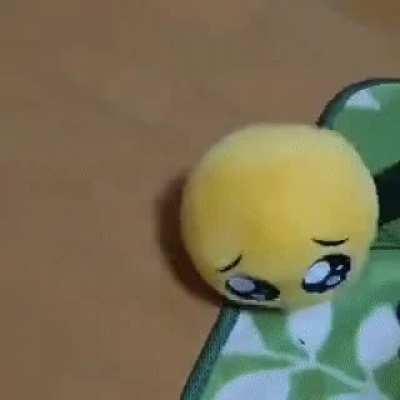 im gonna call you all re tards