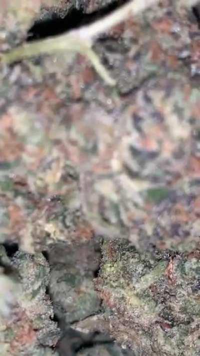 Trufflez Treats | #CounterPrivateReserve | #SmallBatch