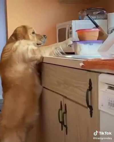 Nice try putting something out of reach