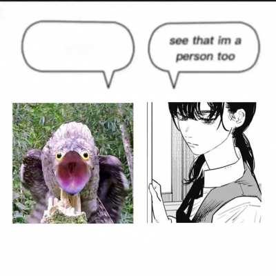 Emotional support potoo