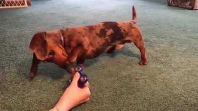 HMK while I become a hip teenager