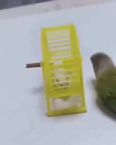 I'm so going to hell for laughing at this...