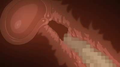 After school with sensei.