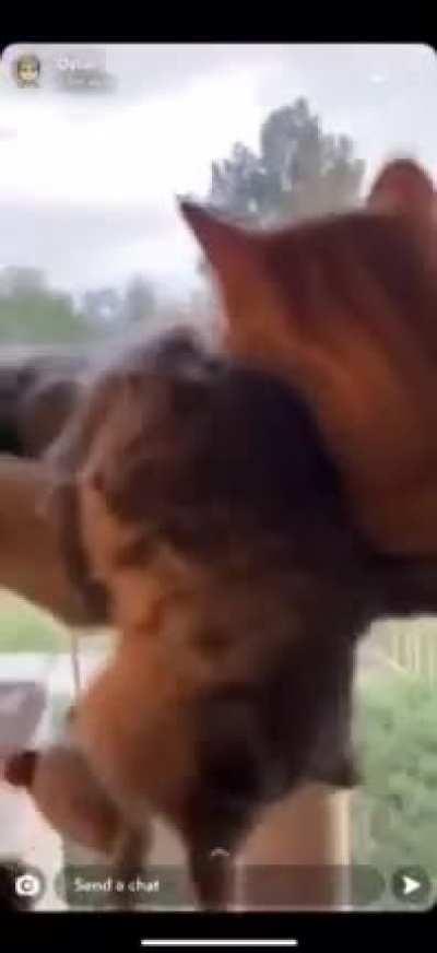 His heart stop for a second