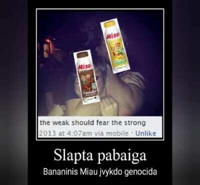 Visos Miau pabaigos tęsinys