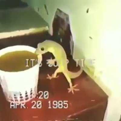 Me after hours of thinking of killing my self