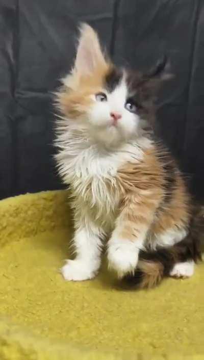 She’s so cute, makes me want to cry