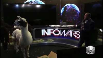 How can they stay mad at you