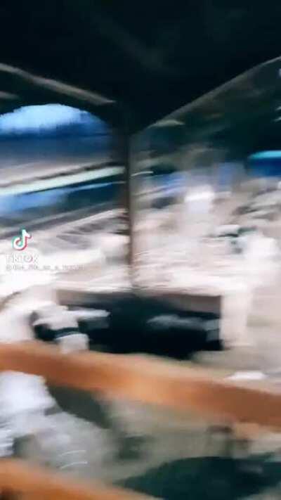 “ Good morning cows!”