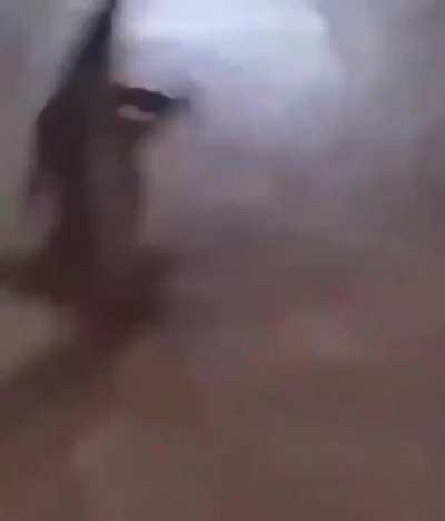 KKKKKKKKKKKKKKKKKKKKKKKKKKKK