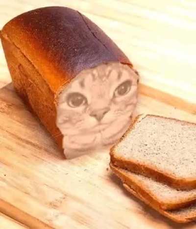 I'm running out of reaction images pls supply more