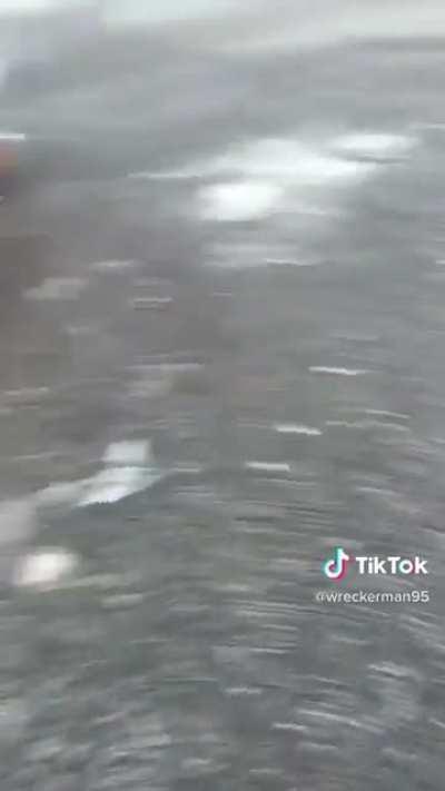 Video from last year, but still true