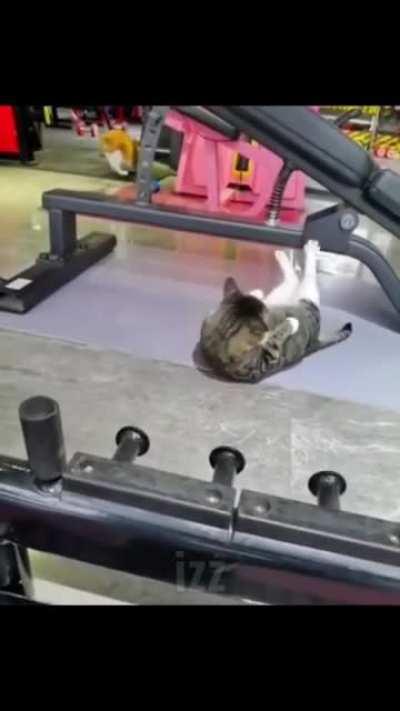 its about drive its about power