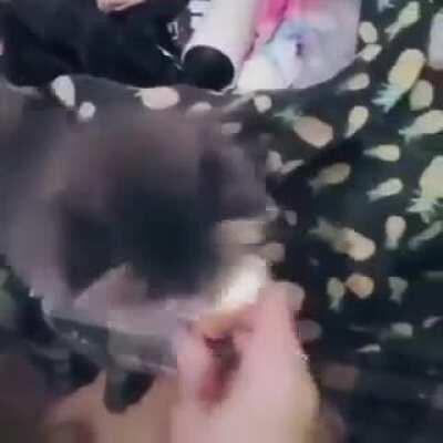 only one bite- ONLY ONE BITE!!