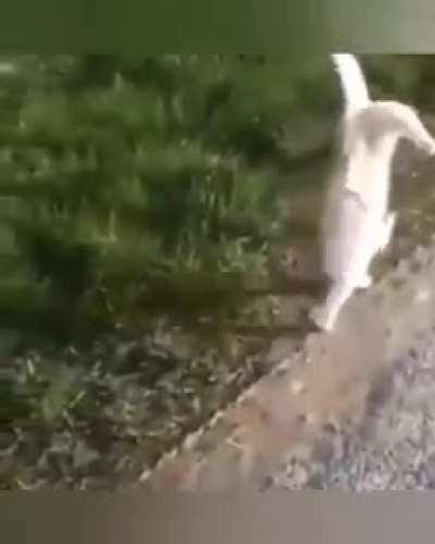 You're not supposed to do that