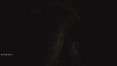 Car crashes into author at high speed