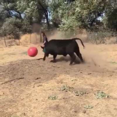 If you were wondering why we call them GRASS PUPPIES.