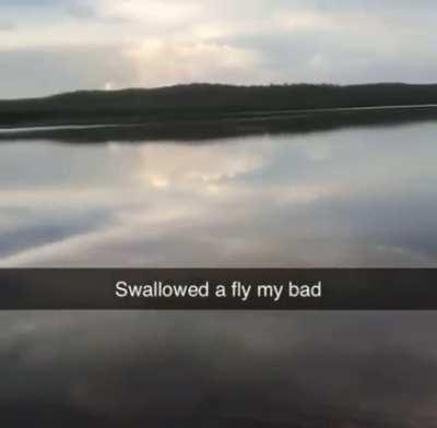 he swallowed a fly
