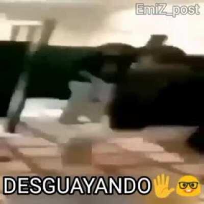 Desguayando(claramente esta wea no es mia)
