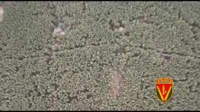 Compilation of 40th Separate Artillery Brigade's Work on Destroying Russian Equipment Throughout the War