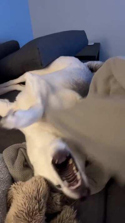 Fighting off a ghost! 