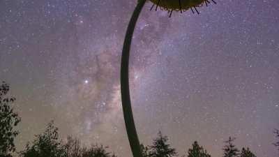 Space Covid Discovered in New Zealand (Bucket Sculpture)