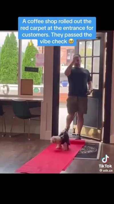 They all passed the vibe check