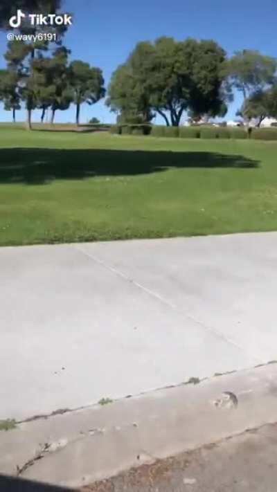 Don’t worry the car broke his fall