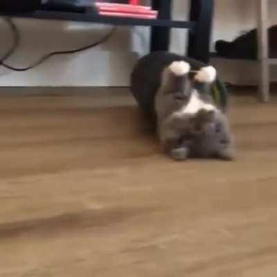 *Happy Darryl noises*