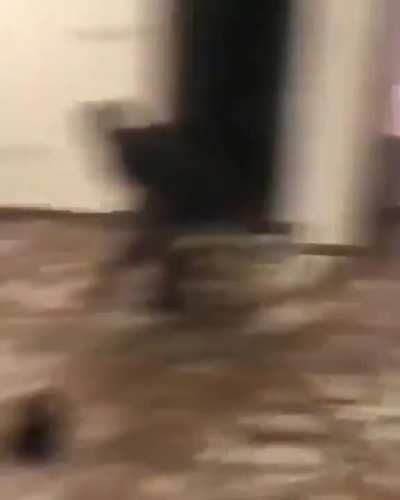 To get away from your buddy shooting fireworks