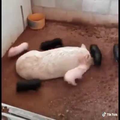 Working from home because the kids school got cancelled