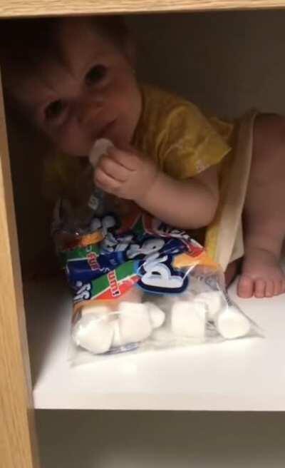 Marshmallows thief.