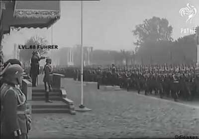 MafiaCity meme with Dolfy