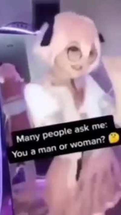 what a way to start my morning