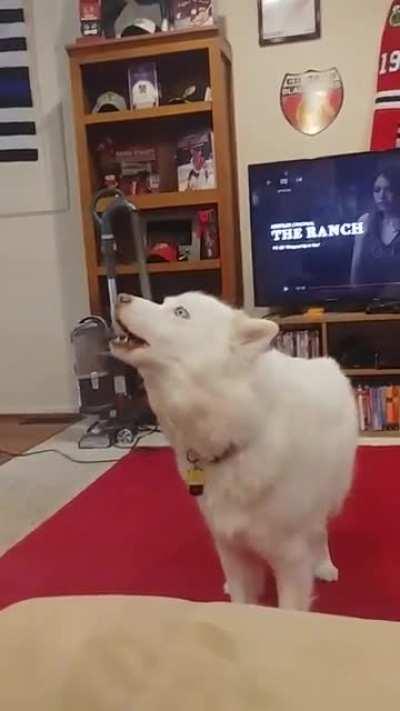 Let me eat. I'm hungry