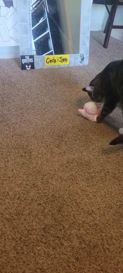 He murked it, then loved it 😹