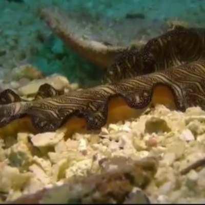 THIS TIME IT WEEK 13