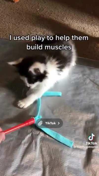 Love is the greatest medicine