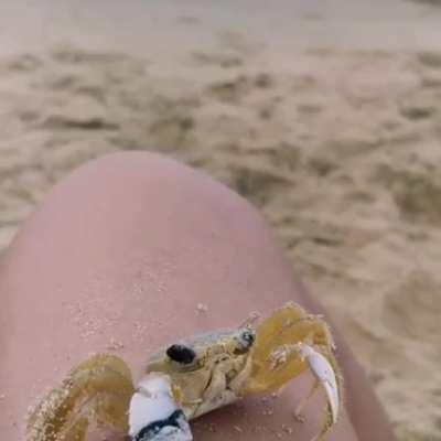 Cleaning eye 👁️😂