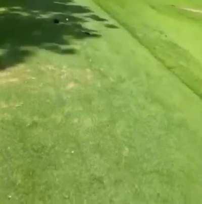 Golf is the best sport ever.