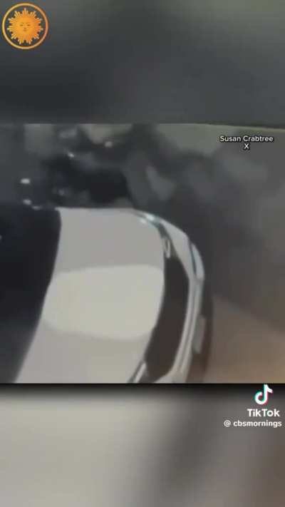 Two Secret Service agents caught fighting outside Obamas house