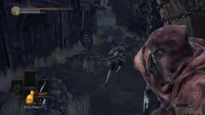 30th playthrough be like....